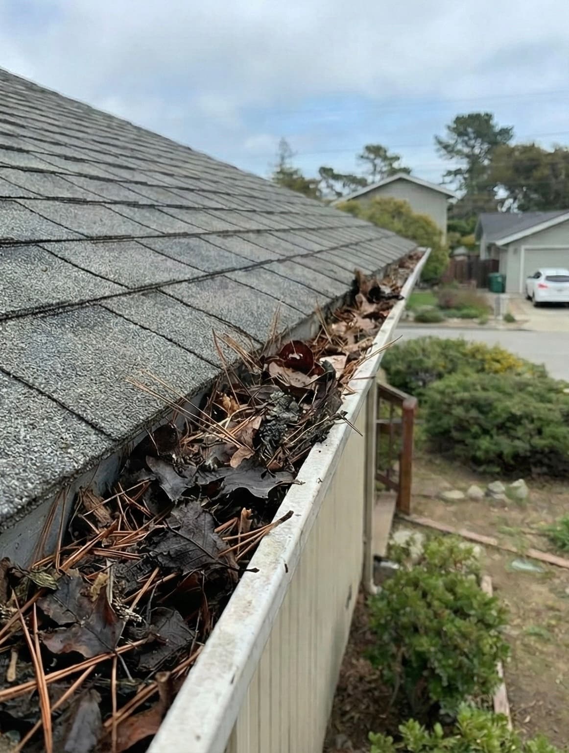 Before โ Gutter Brightening